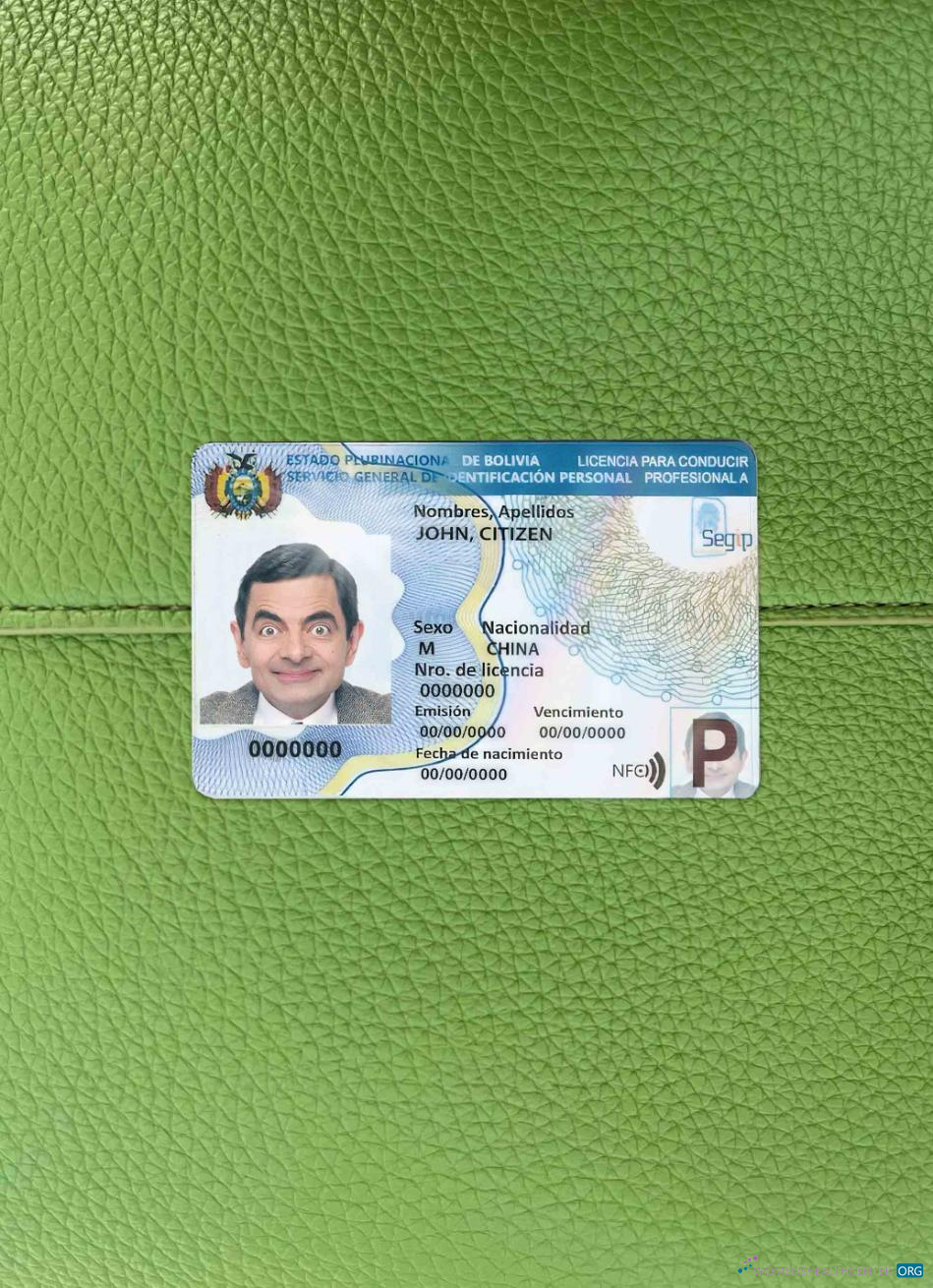 Download Bolivia driving license template (2017 – present) photolook FRONT Photoshop template